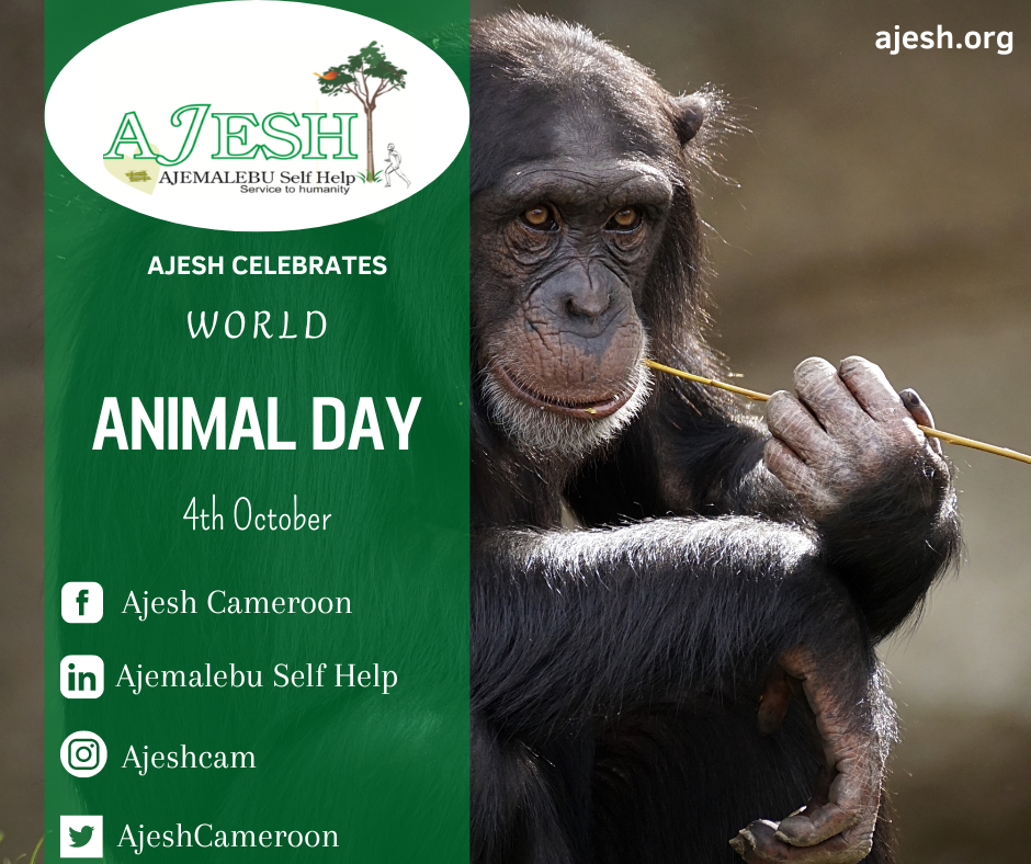 AJESH Celebrates World Animal Day. – AJEMALEBU SELF HELP (AJESH)